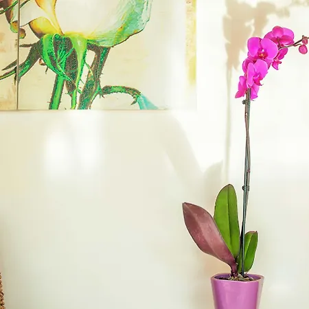 Casa Di Mare شقة Olympiakí Aktí