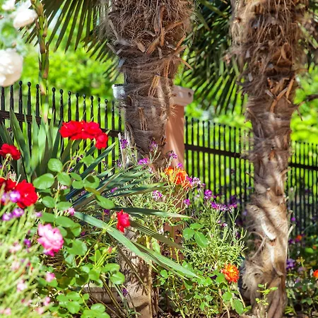 شقة Casa Di Mare Olympiakí Aktí