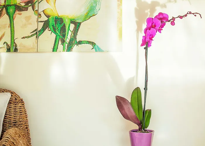 Casa Di Mare Lejlighed Olympiakí Aktí